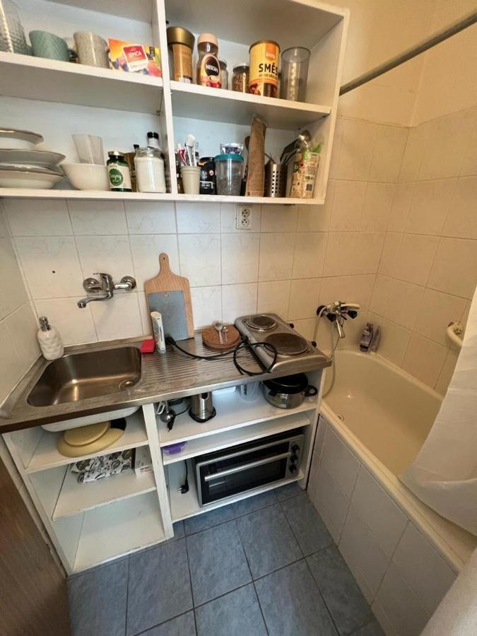 Apartment Lublanska 48 براغ المظهر الخارجي الصورة