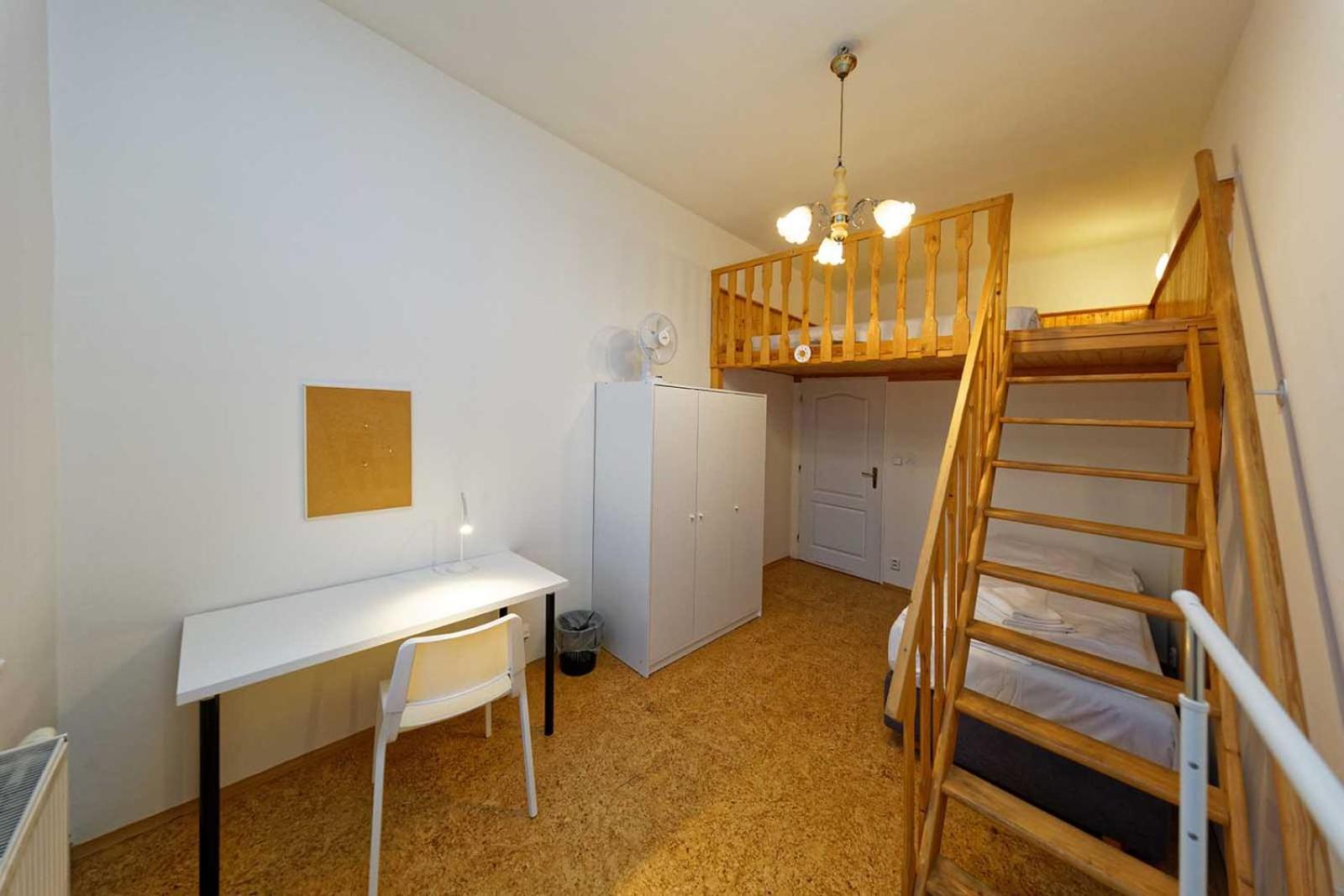 Apartment Lublanska 48 براغ المظهر الخارجي الصورة